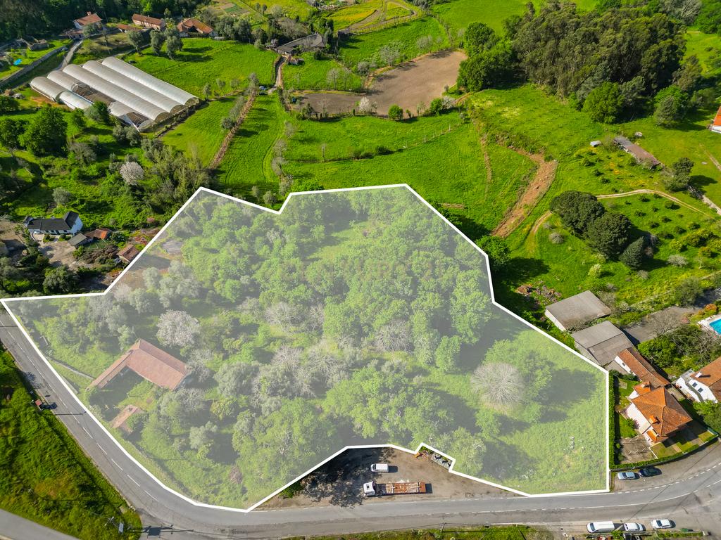 🌿 Quinta Rústica com 15.075 m² | Para Recuperar | Póvoa de Lanhoso, Braga - Image 7