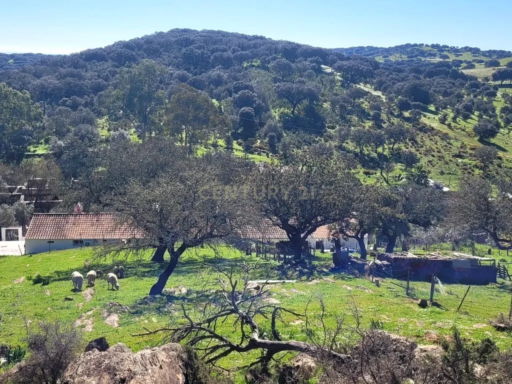 Monte Alentejano em Pardais: O Refúgio Perfeito! - Image 35