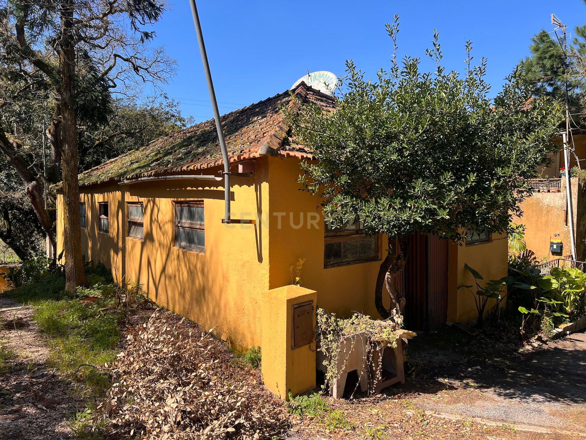 Moradia T3 à venda em Vidais, Caldas da Rainha — foto 28