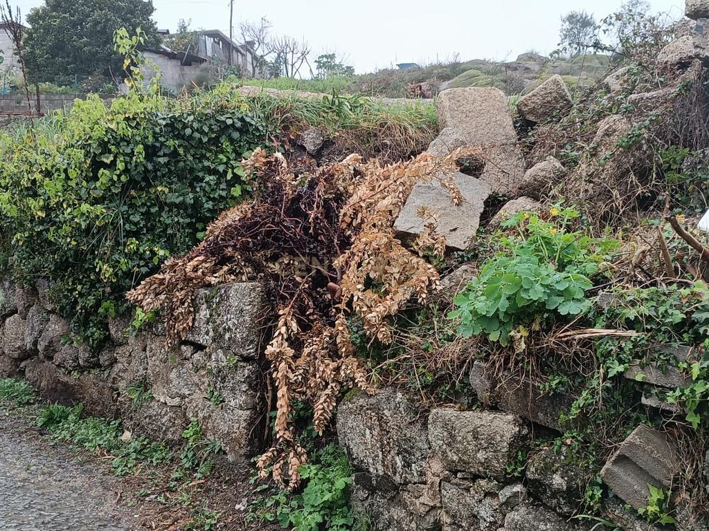 Quinta De Além com casa rústica em ruína para reabilitação total de 2 quartos no centro de Cete, Paredes - Image 80