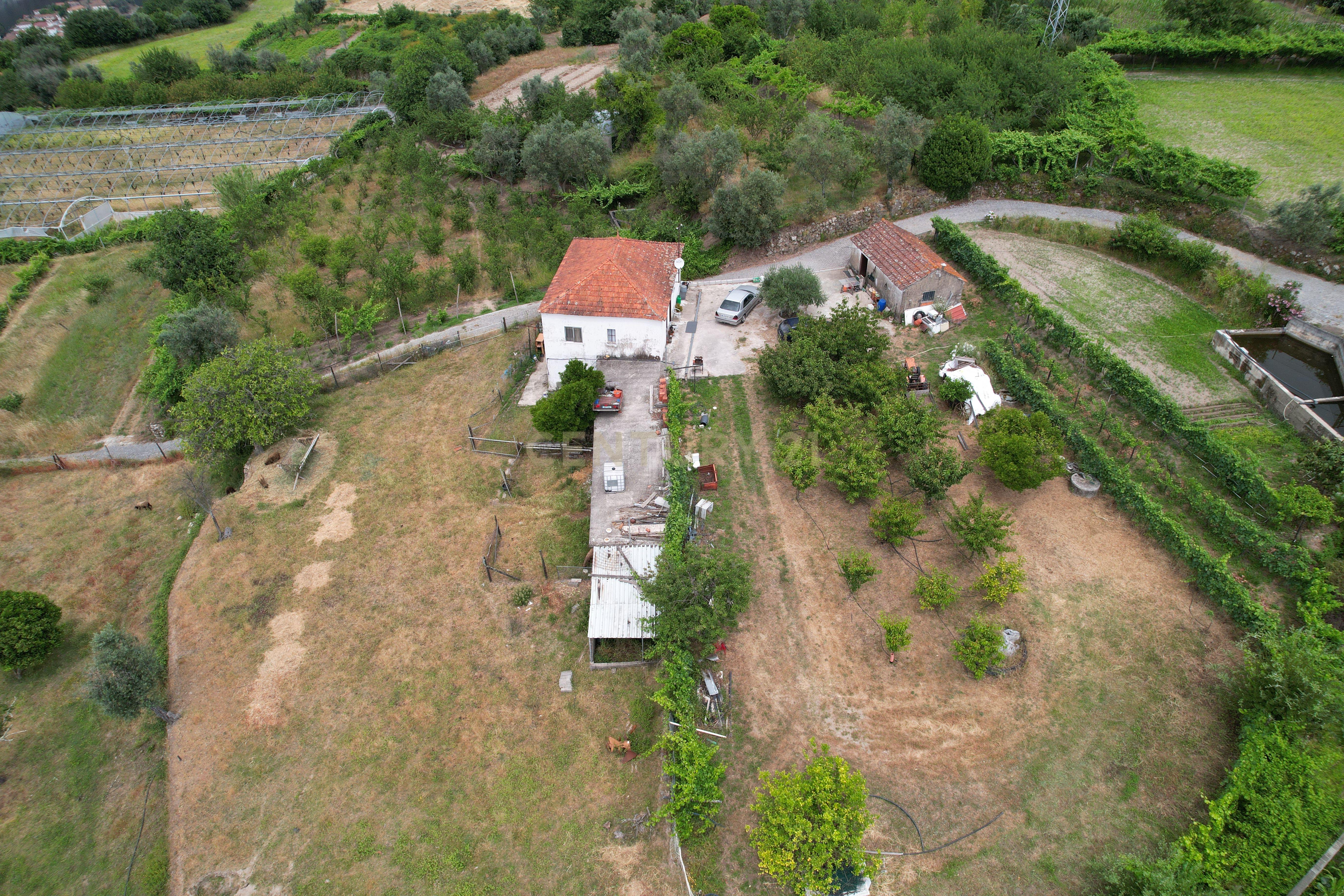 Fotografia 2 de Quinta em Miomães, Resende | Um refúgio rural com cerca de 4 hectares de potencial