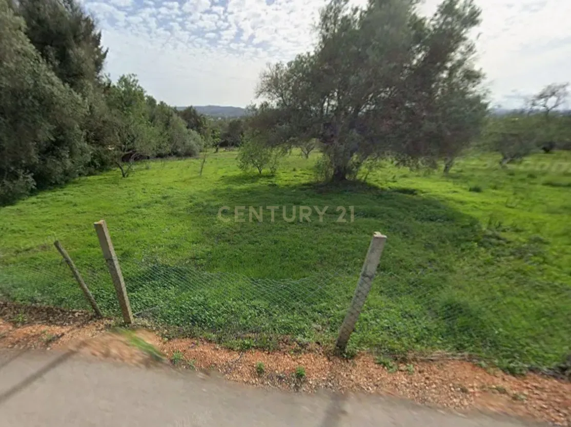 Fotografia 12 de Exclusivo Terreno com 6.320m² em Silves – Natureza, Privacidade e Potencial no Coração do Algarve