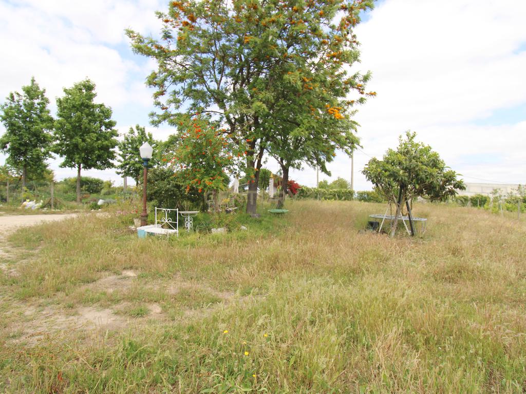 Quinta em Palmela - Image 35