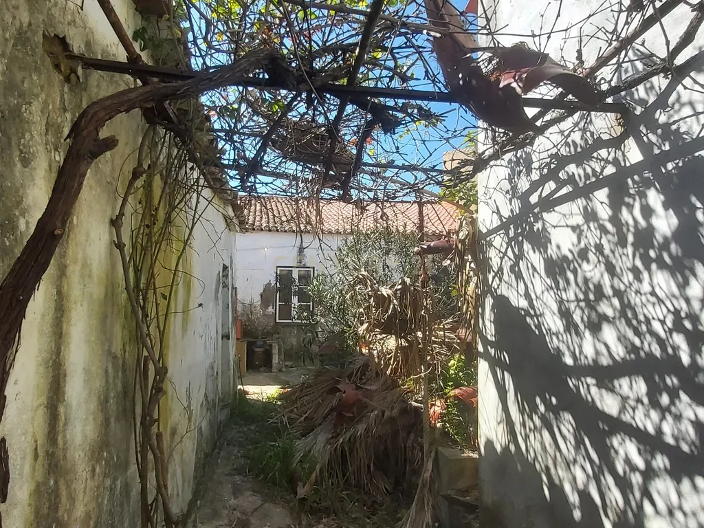 🏡 Moradia T5 para Recuperar – Baleizão (16 km de Beja) - Image 28