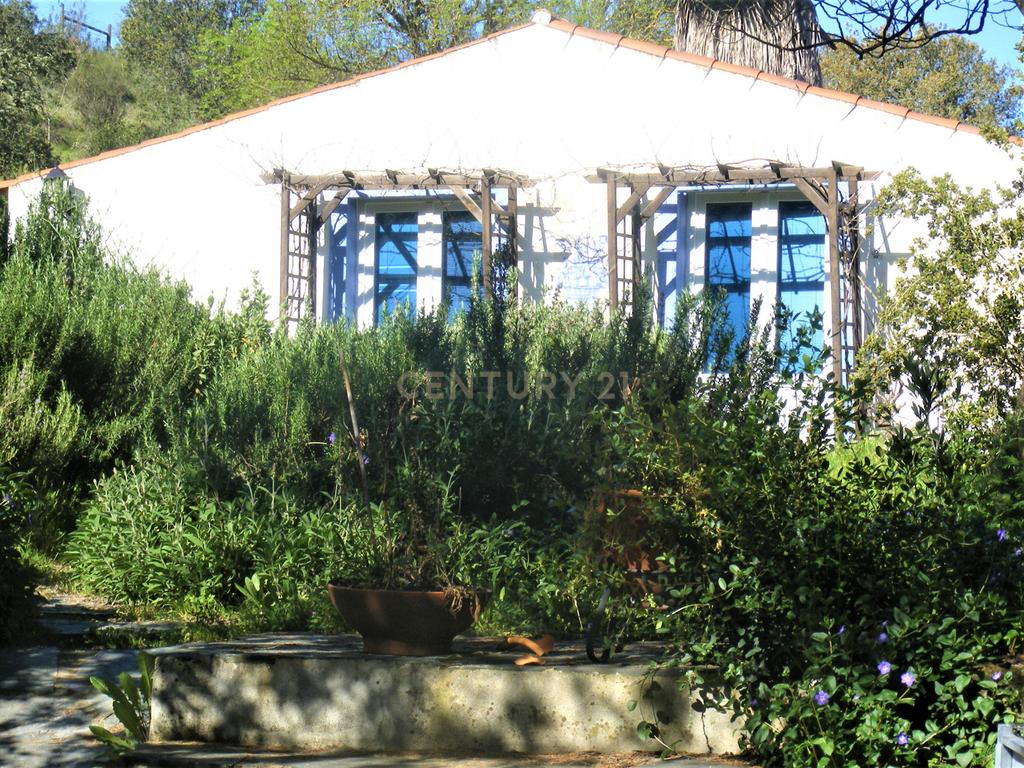 Quinta Típica Alentejana, Licença de Turismo Rural, Arrendamento, Arraiolos - Image 20