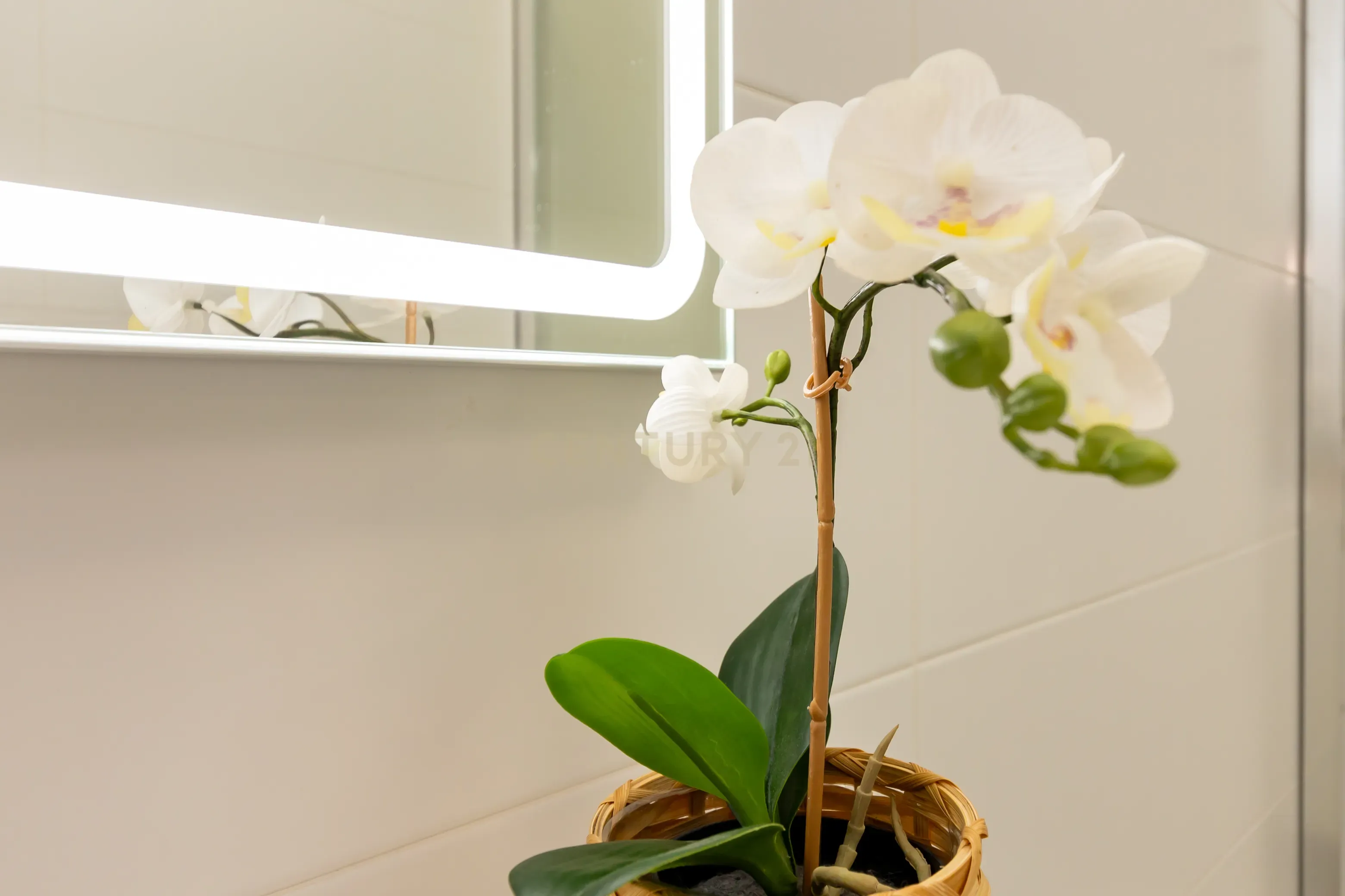 Apartamento T2 - Lisboa - Image 28