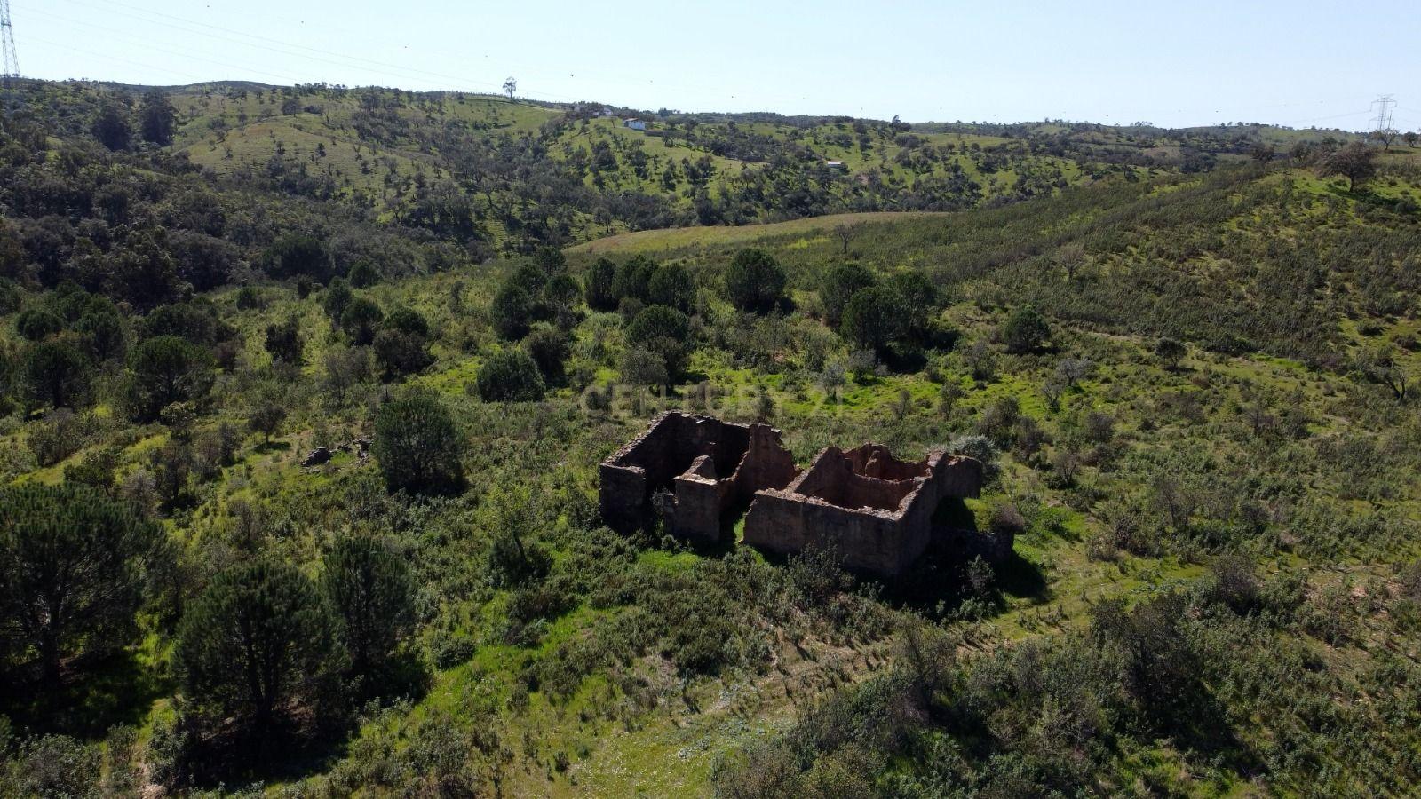 Fotografia 7 de Terreno Monte Alentejano com 6,27 ha, Artigo Urbano 120 m² e Montado de Sobro