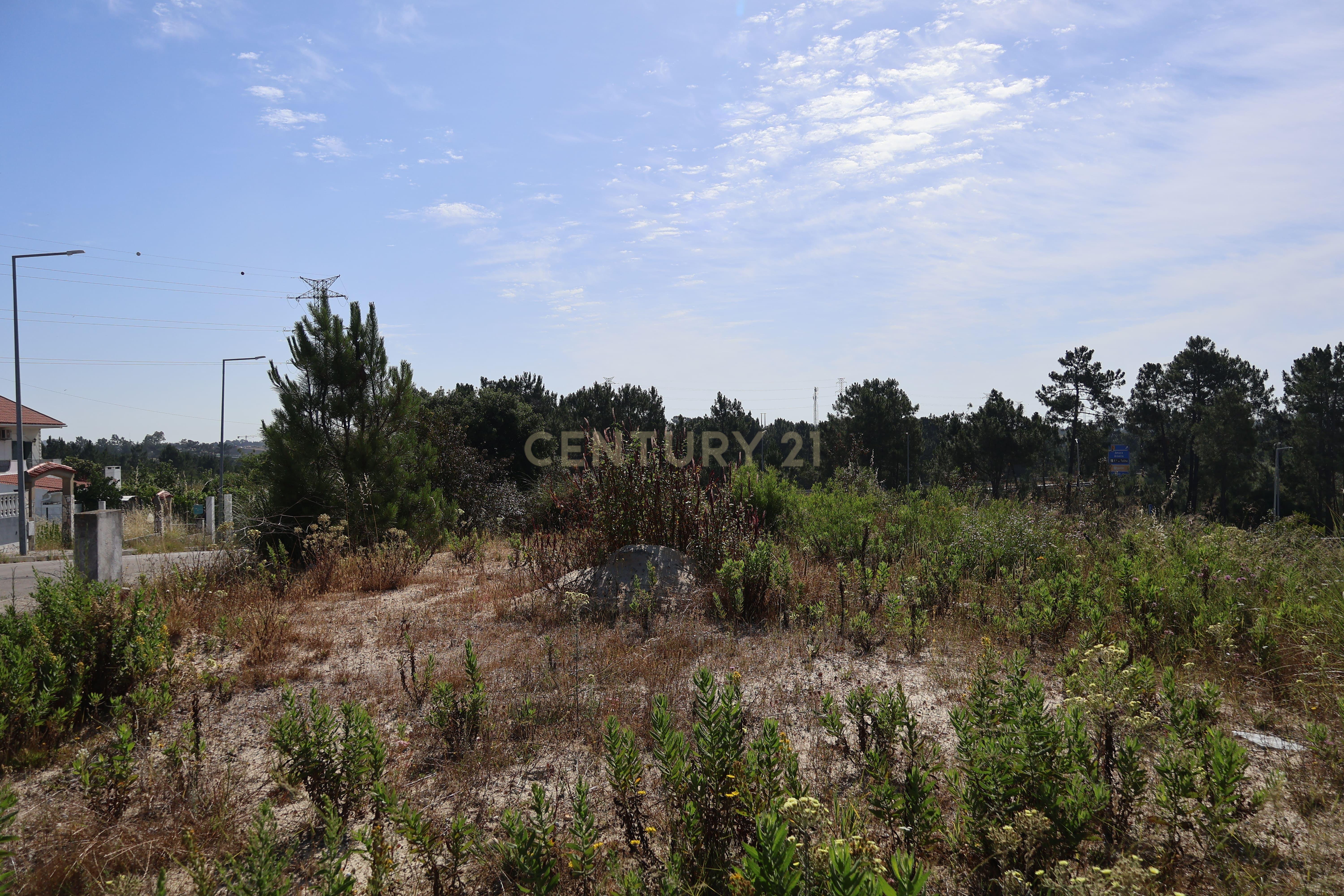 Fotografia 12 de Terreno para construção 374 m² no Pinhal Conde da Cunha (Corroios) - Projeto Moradia 3 pisos + cave - Comunicação Prévia