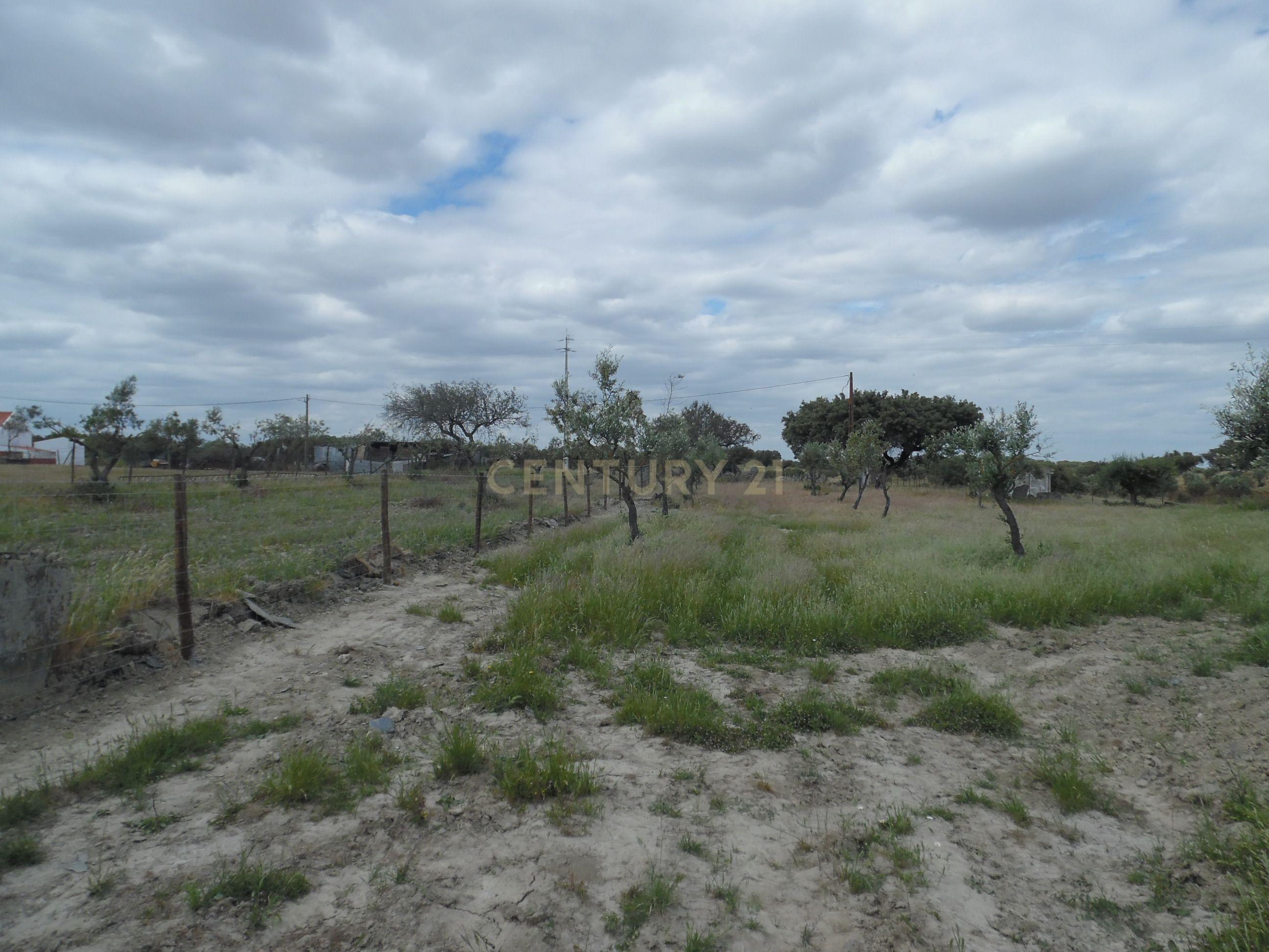 Moradia T3 à venda em Capelins (Santo António), Alandroal — foto 40