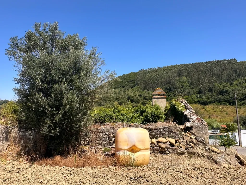 Quinta de 1,8 hectares com 3 edificios para recuperação, em Sobral de Monte Agraço - Image 4