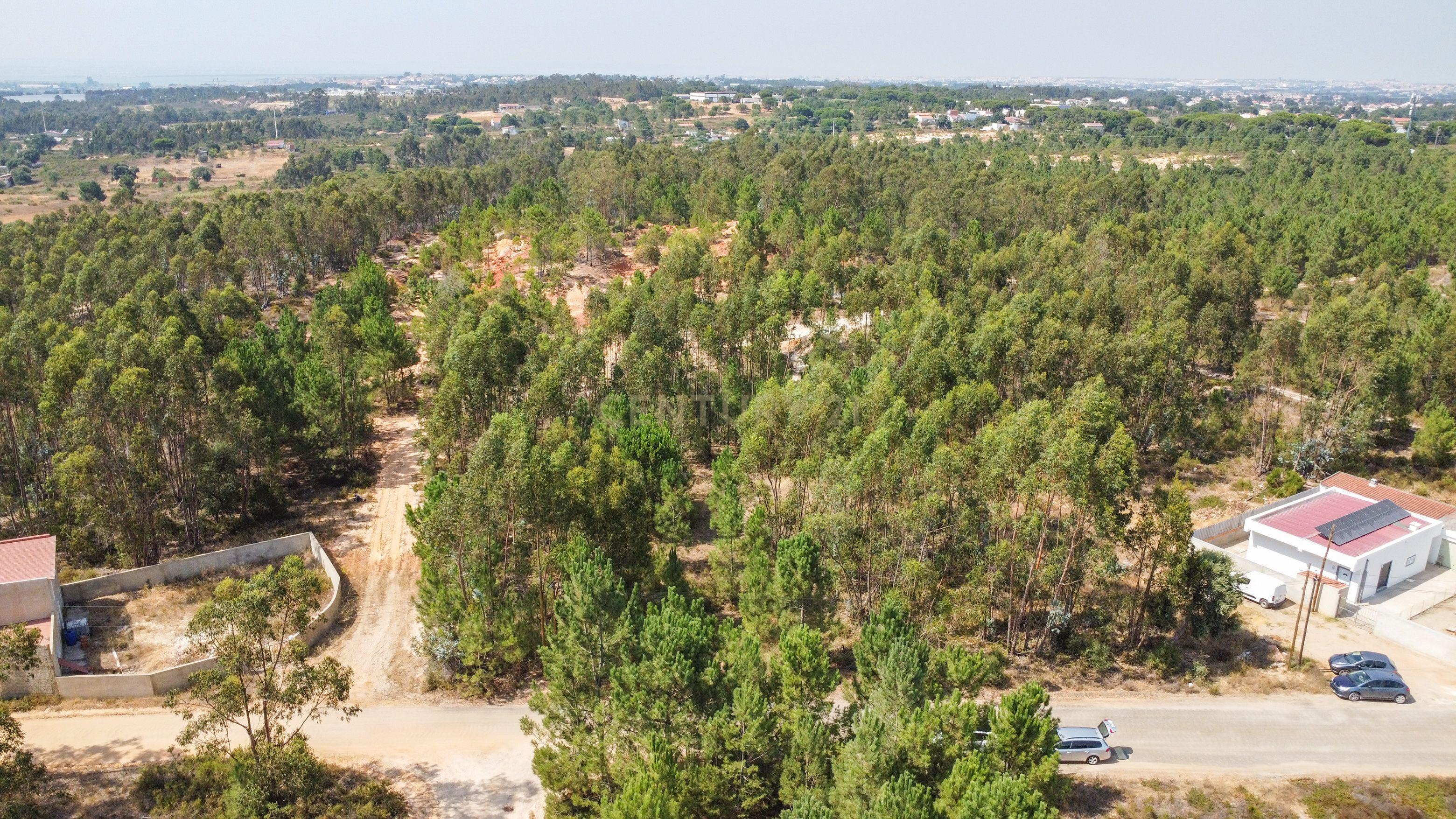 Fotografia 10 de Lote de Terreno com Elevado Potencial de Construção – Herdade do Pinhal das Formas, Quinta do Anjo