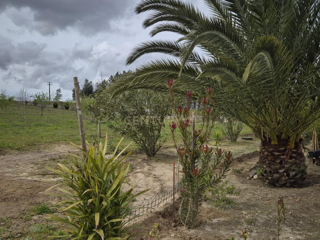 Espetacular Moradia T4 com Jardim e Vista Panorâmica em Pombal - Image 18