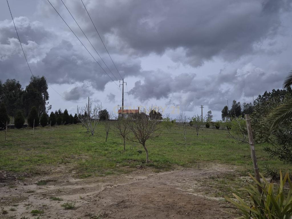Espetacular Moradia T4 com Jardim e Vista Panorâmica em Pombal - Image 19
