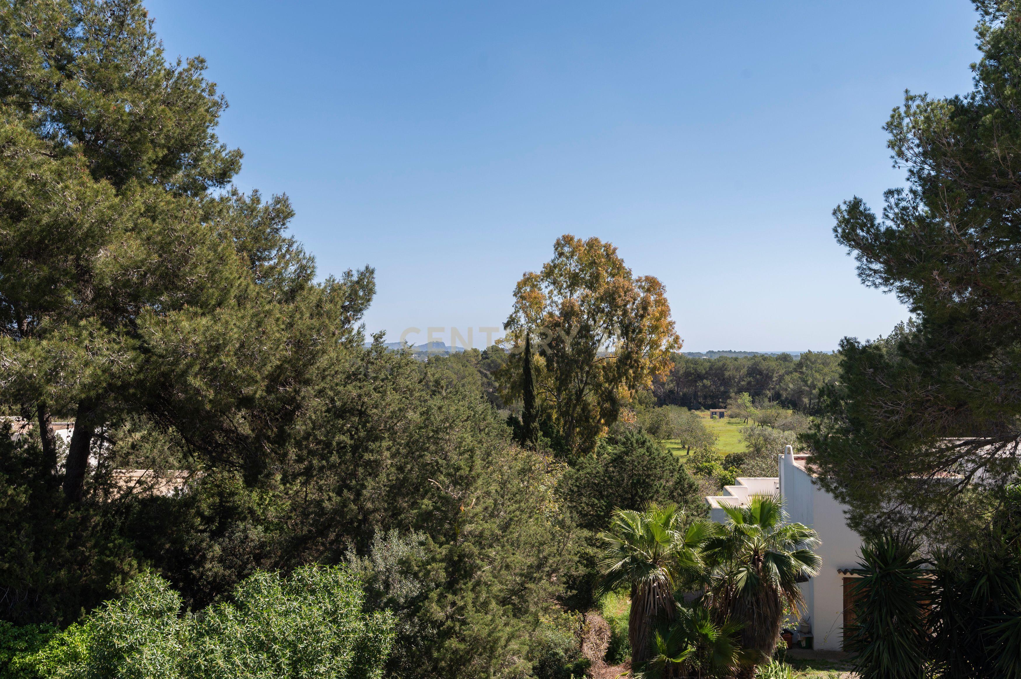 Moradia para reformar em Santa Eulália com piscina e vista panorâmica. Ótima oportunidade para investidores. - Image 41