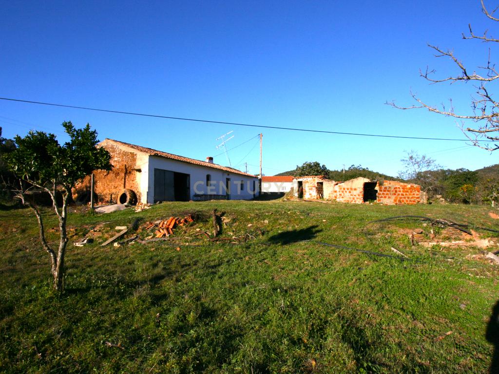 Quintinha no campo com horta  e arvores de fruta em Zebro de Baixo, Messines - Image 14