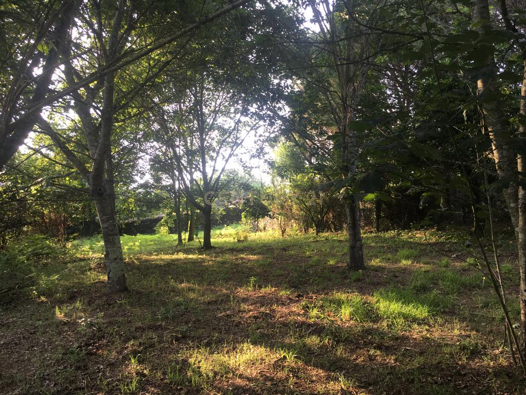 Quinta Villa Progresso - T6+1 em Cucujães - Image 25