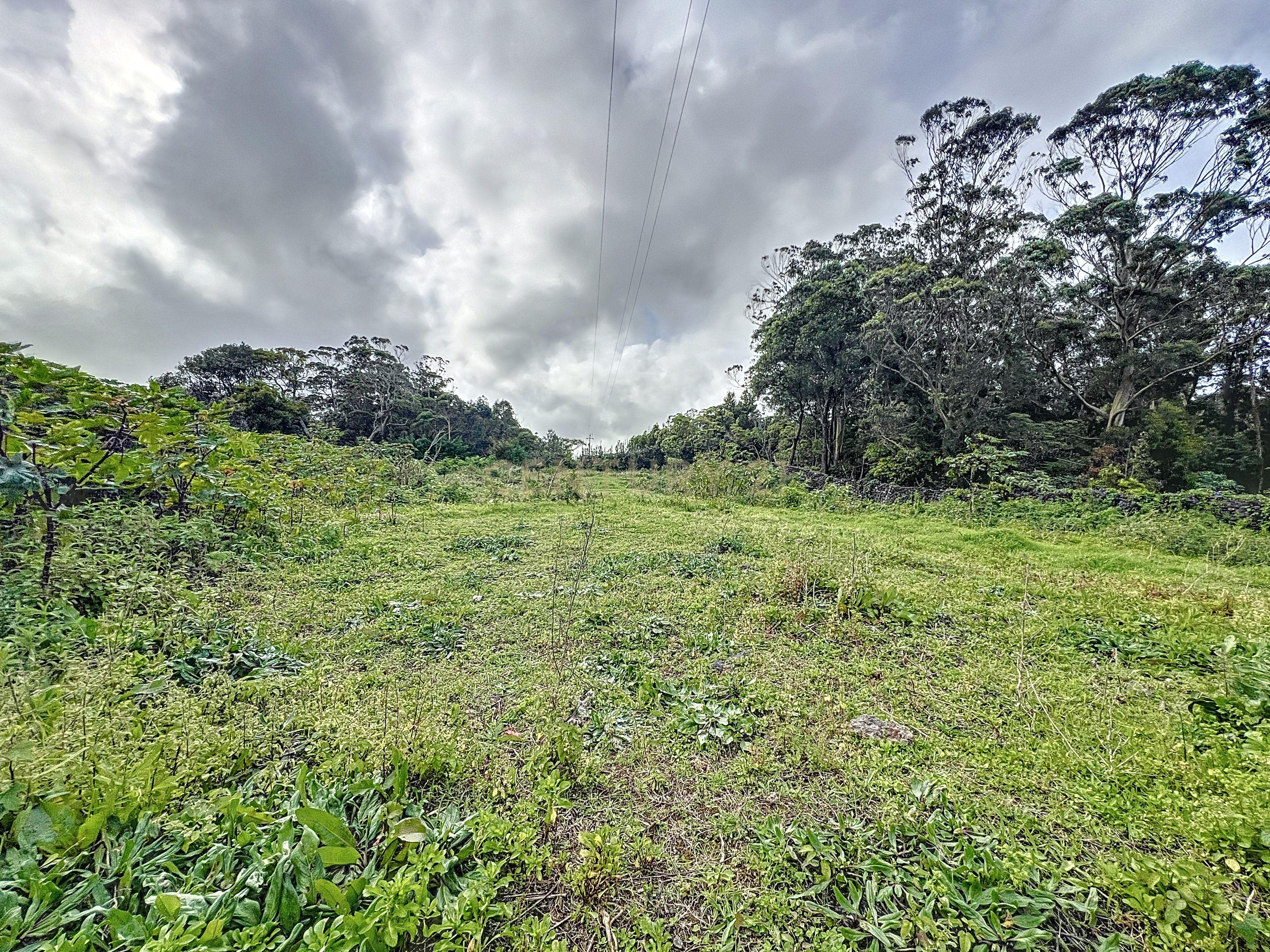 Terreno com 5320m2 com Vista Mar e Serra em Areias de Rabo de Peixe! - Image 6