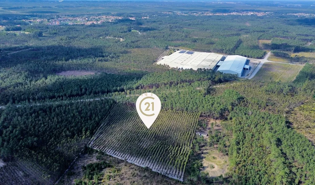 Terreno na Marinha Grande - Image 1