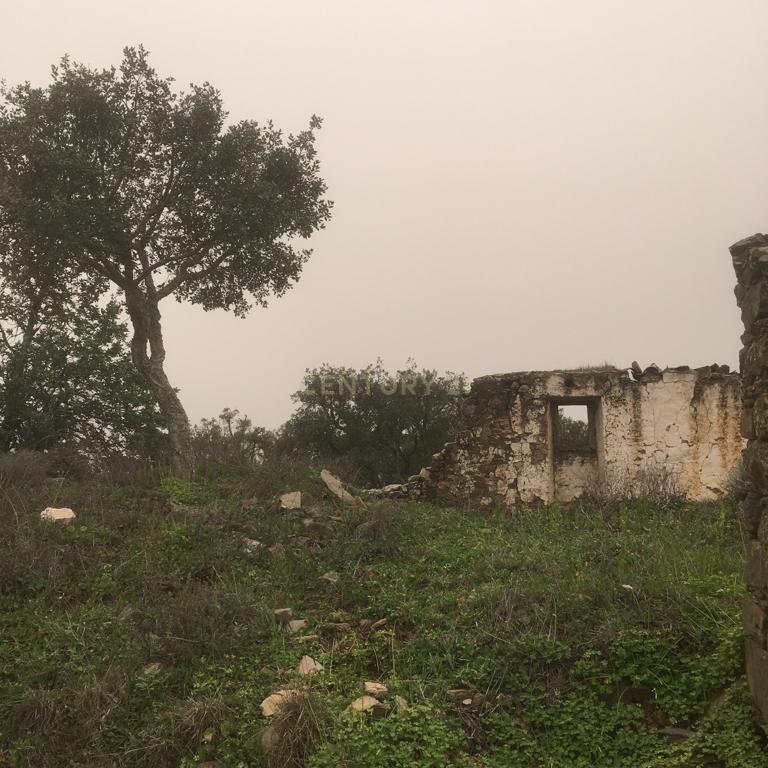 Terreno Urbano em São Barnabé - Image 2