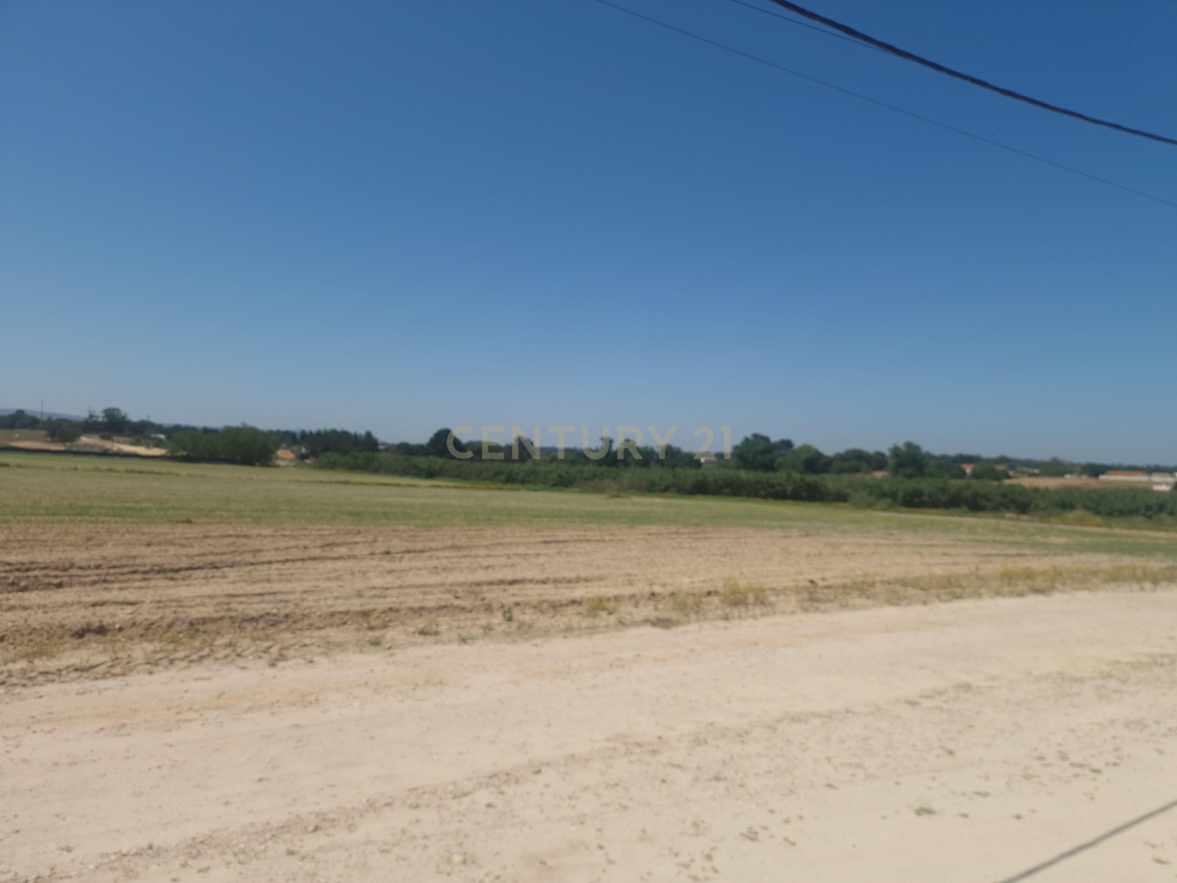 Fotografia 2 de Terreno Rústico com 24.850 m² em Pinhal Novo, Palmela