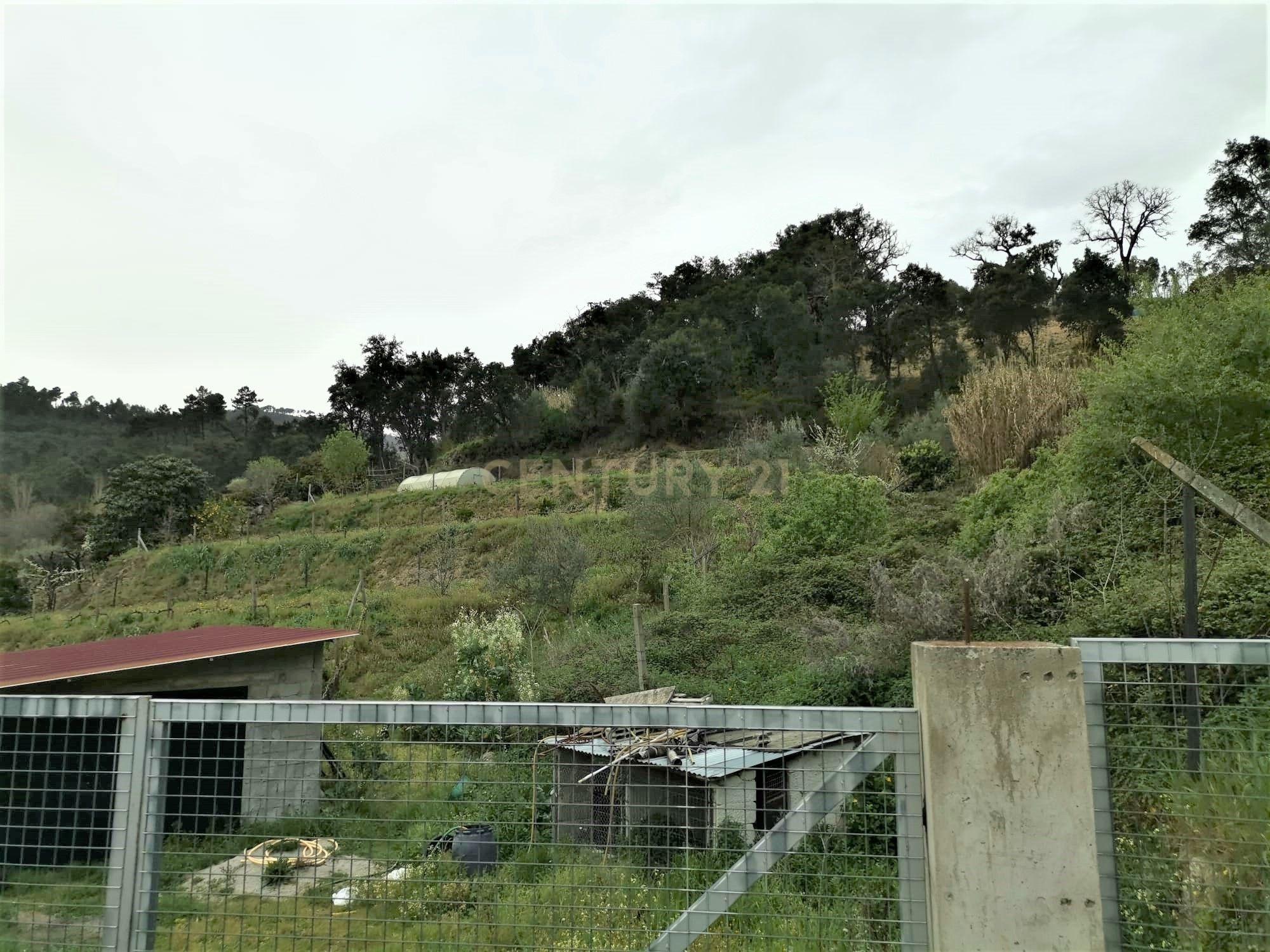 Terreno agrícola com àgua e viabilidade de construção em Granja, S. Tomé de Covelas, Baião, perto do do rio Douro, Porto - Image 14