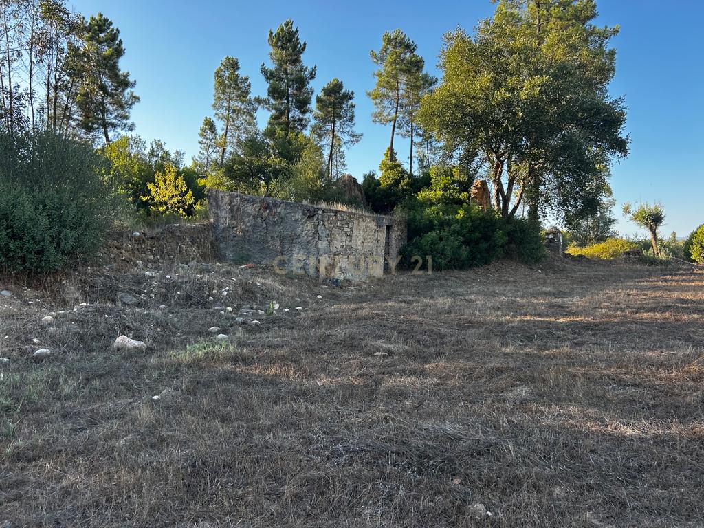 Quinta c/2,5 hectares , casa pré fabricada e ruína para reconstrução. - Image 14