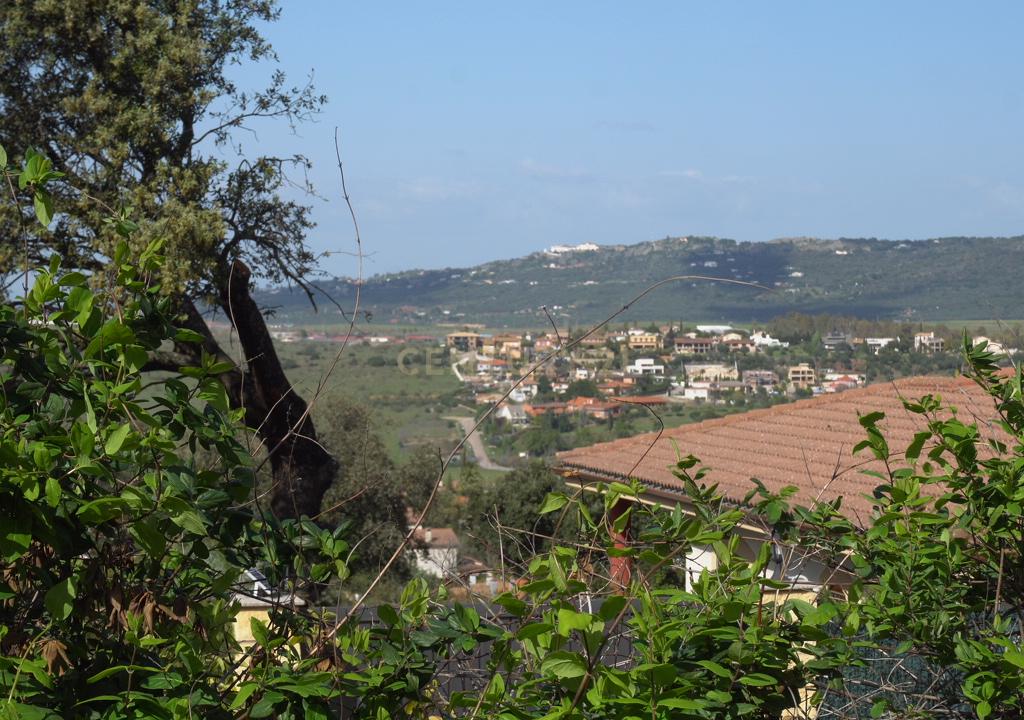 undefined - Image 18
