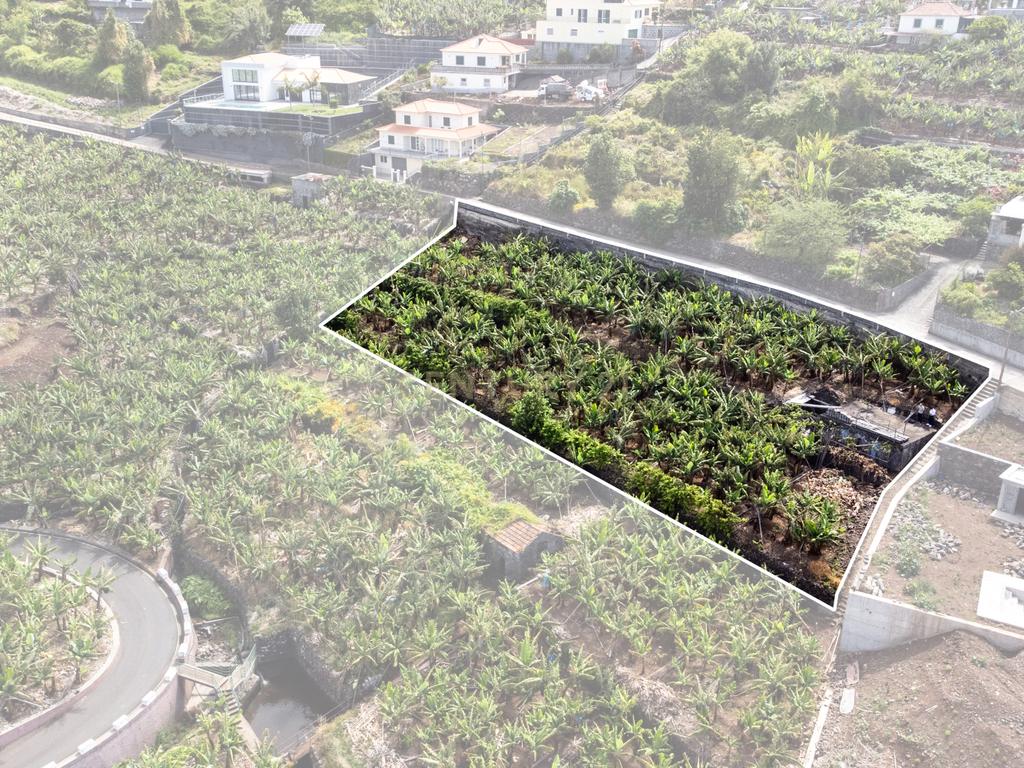 Terreno para construção 1946m2 - Arco da Calheta - Image 10