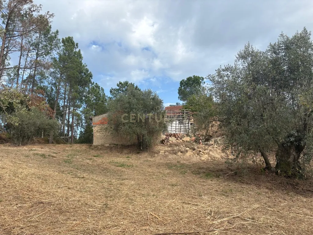 Moradia para Recuperar com Terreno em Vale do Servo, Soure - Image 30
