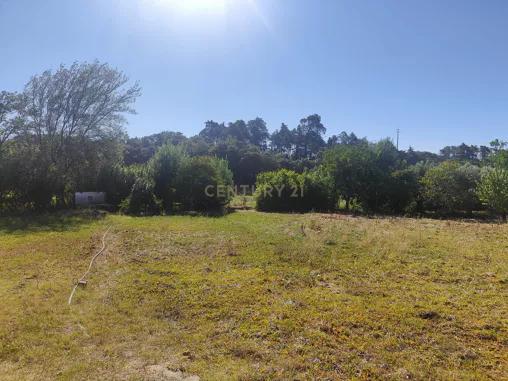 Terreno de 20.240 m², Torres Novas Chancelaria - Image 2