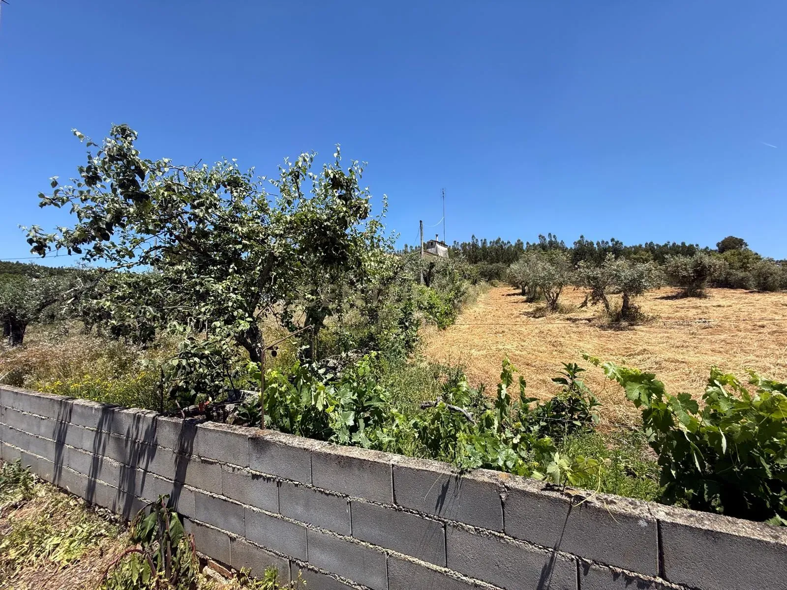 Moradia T1 à venda em Alegrete, Portalegre — foto 19