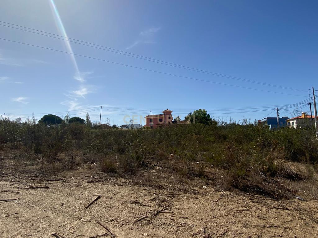 Terreno para construção com 805 m² | Linhaceira – Tomar - Image 15