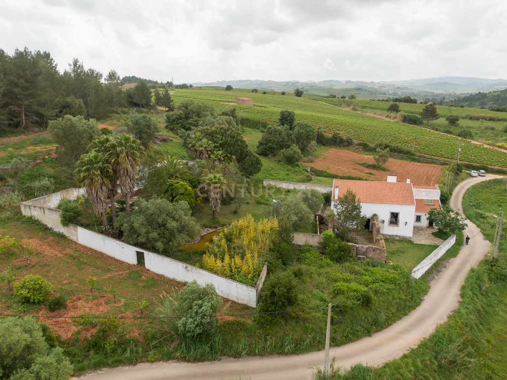 Quinta do Penedo – Runa Torres Vedras - Um Tesouro do Século XVIII com Projeto Turístico Aprovado - Image 50