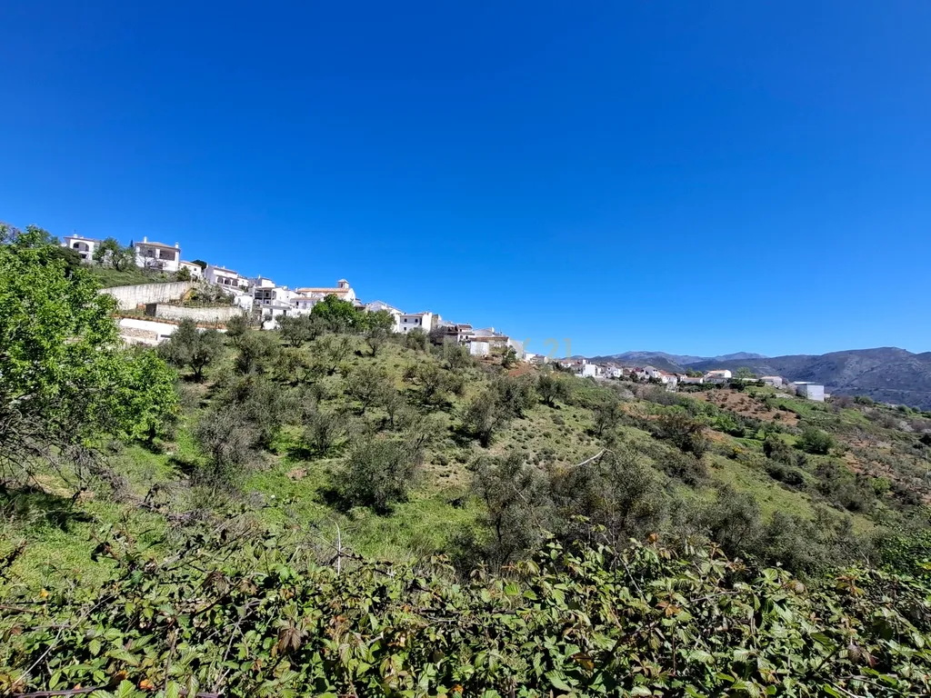 Moradia geminada de gaveto, com orientação sul, vistas para a montanha e duas propriedades rústicas com oliveiras, vinhas e castanheiros, no coração do Alto Genal. - Image 16