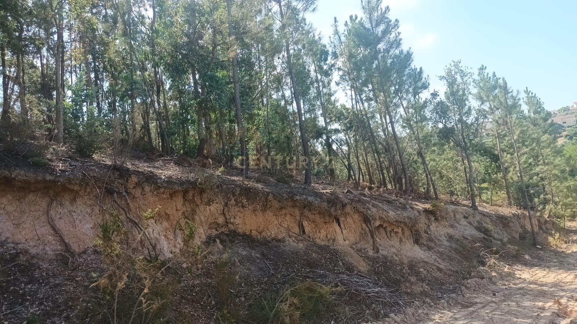 Fotografia 5 de Terreno Urbano para construção no  Arrabal , 1.850m2