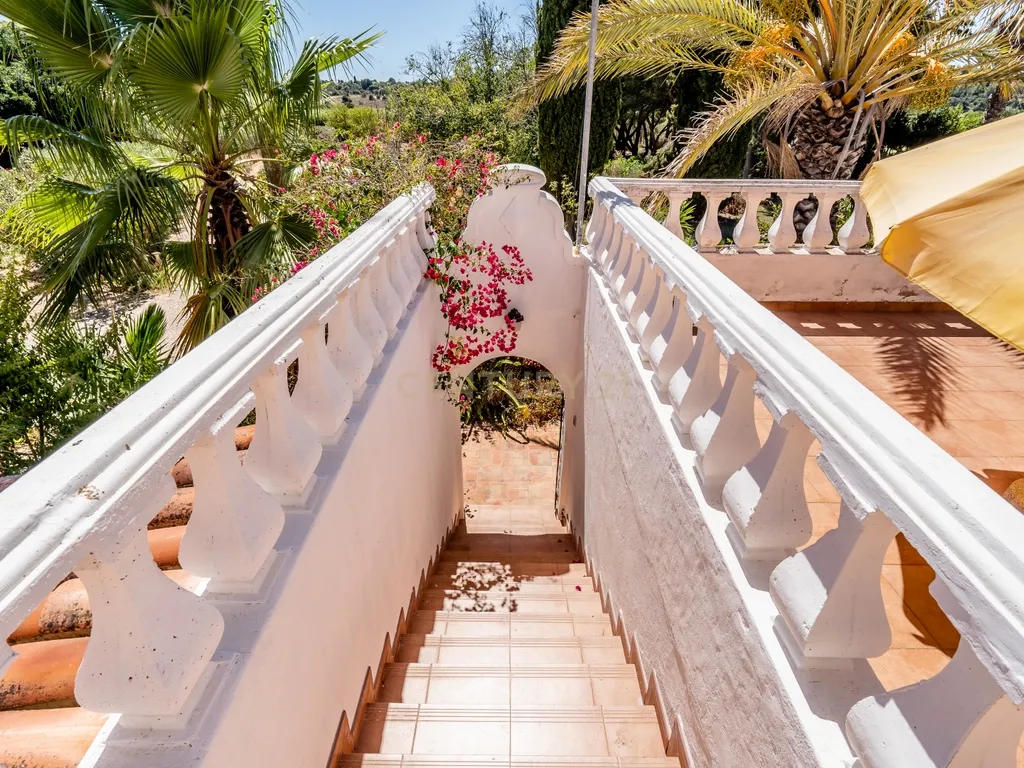 Quinta com 38960 m2 em Odiáxere - Image 5