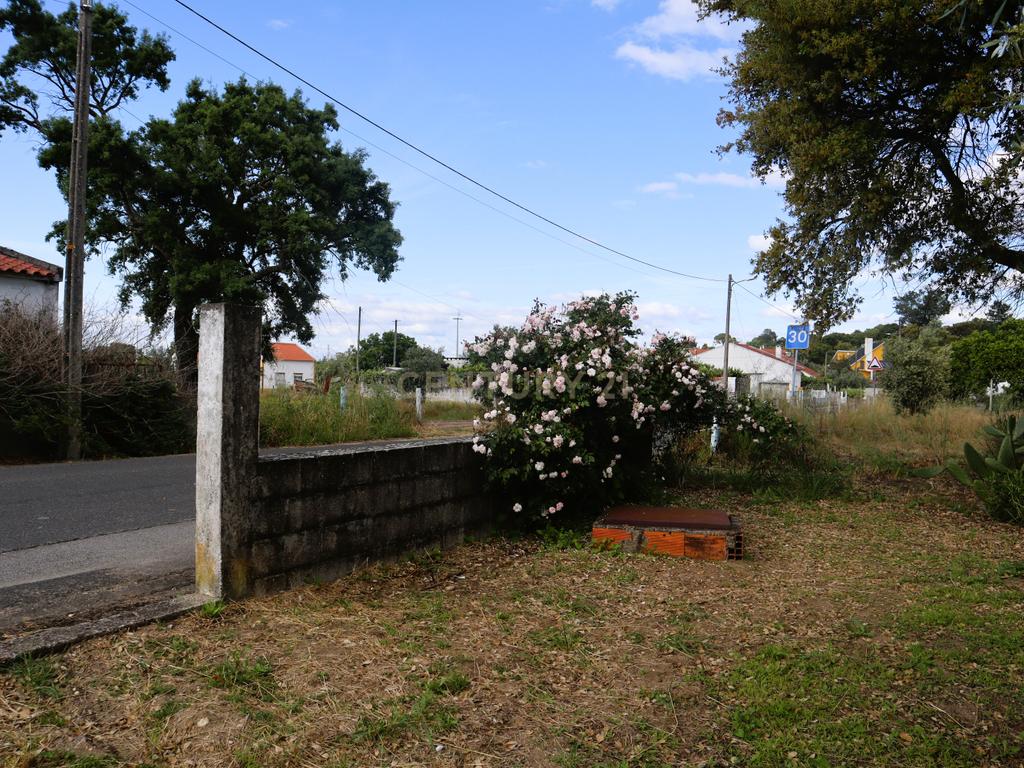 Moradia com Terreno para Venda – Carregueira (Chamusca) , Terreno: 2.120 m² | Moradia com potencial | Árvores de fruto | Água de poço - Image 22