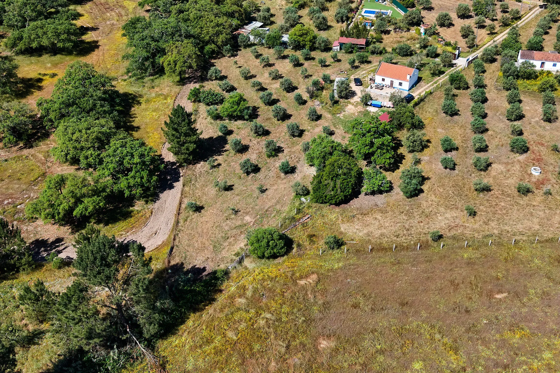 Viva o autêntico Alentejo – Seu refúgio em Ermidas do Sado - Cova do Gato espera por si - Image 19