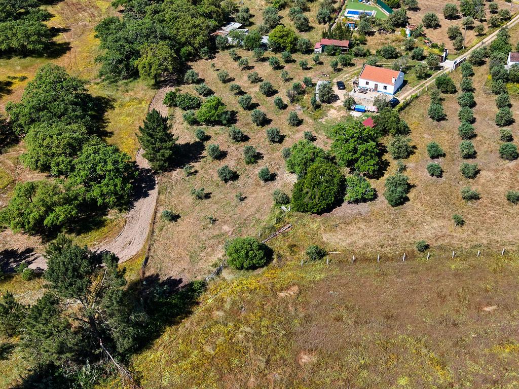 Viva o autêntico Alentejo – Seu refúgio em Ermidas do Sado - Cova do Gato espera por si - Image 19