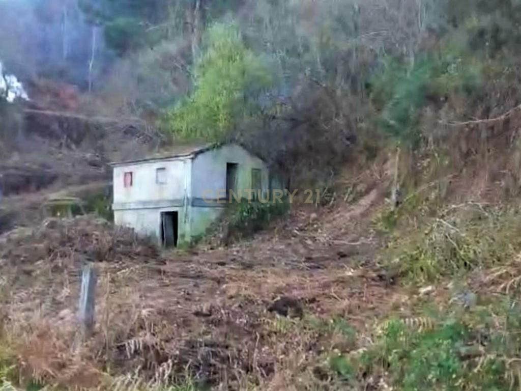 Quinta com moradia em Gondar, perto da Amarante, Porto à face da estrada com muito terreno e água - Image 33