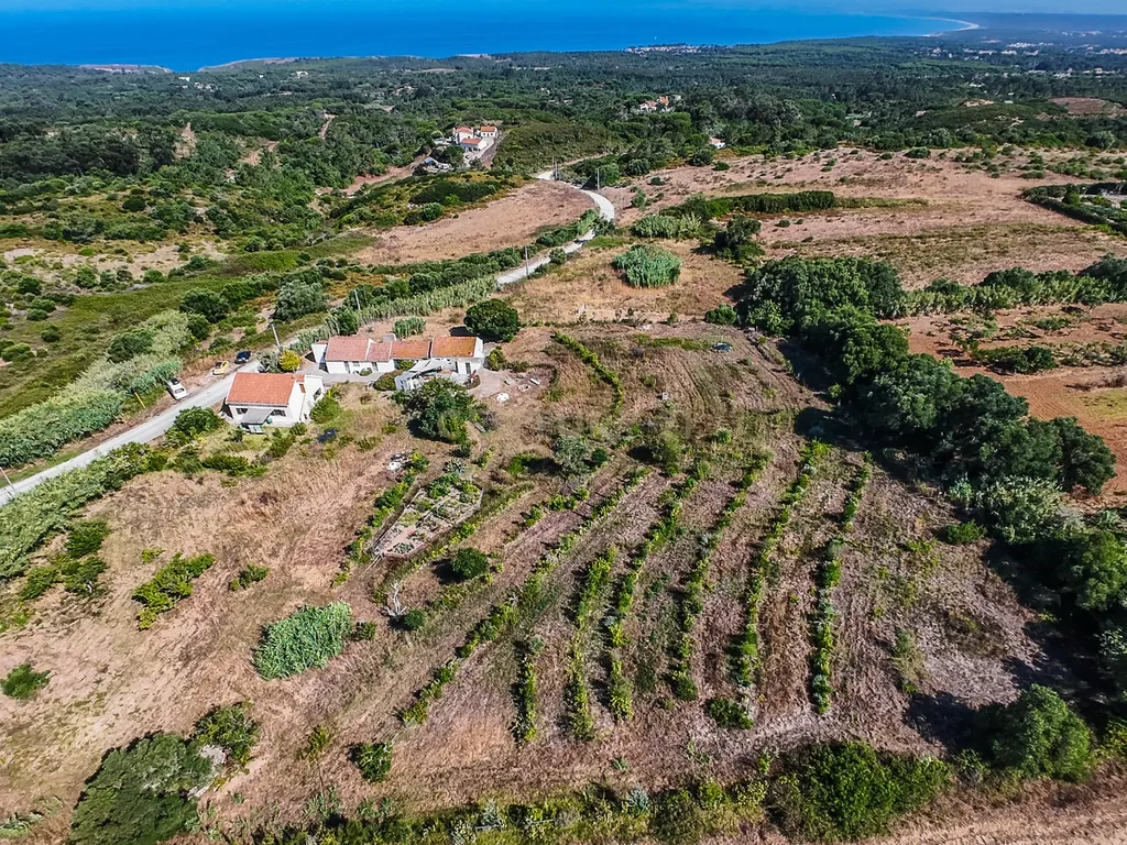 Moradia T2+3 com projecto de renovação aprovado | Terreno 12.000m2 | Vista Mar | Anexos - Image 61