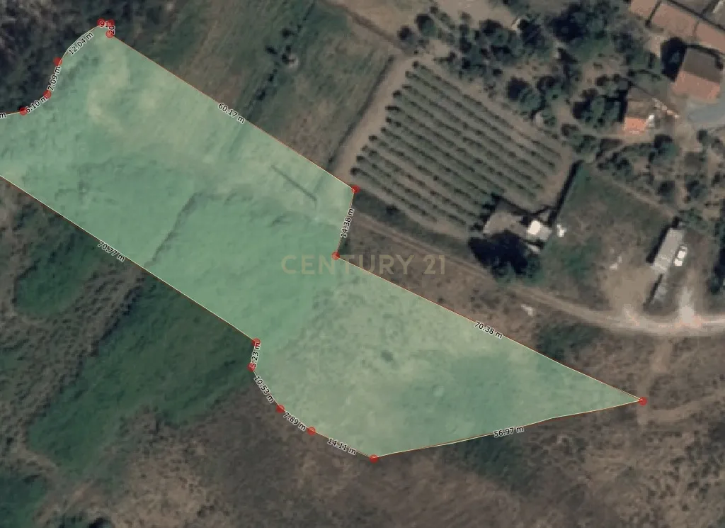 Terreno de 4.520 m2 em Monte Redondo -Torres Vedras - Image 7