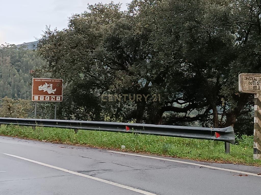 Terreno florestal com vista para a praia fluvial de Porto de Rei em Barqueiros, Mesão Frio às portas do Douro - Image 43
