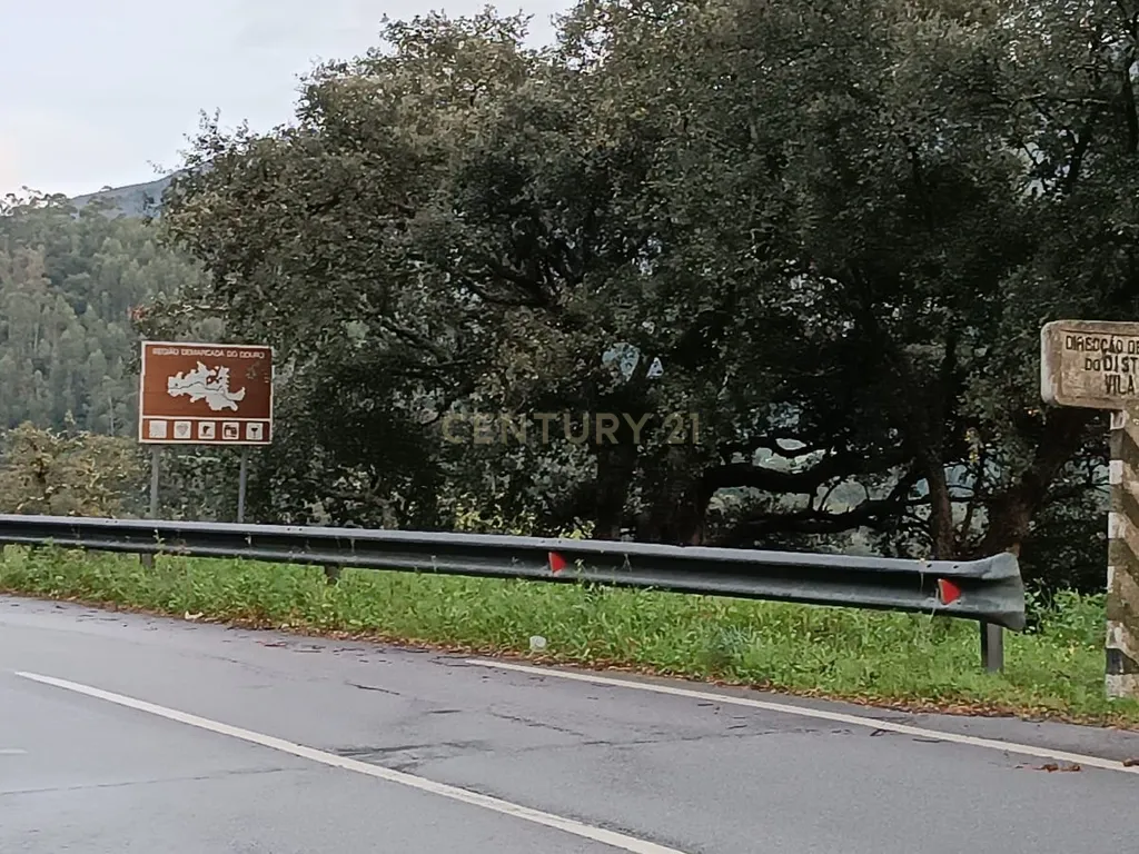 Terreno florestal com vista para a praia fluvial de Porto de Rei em Barqueiros, Mesão Frio às portas do Douro - Image 43