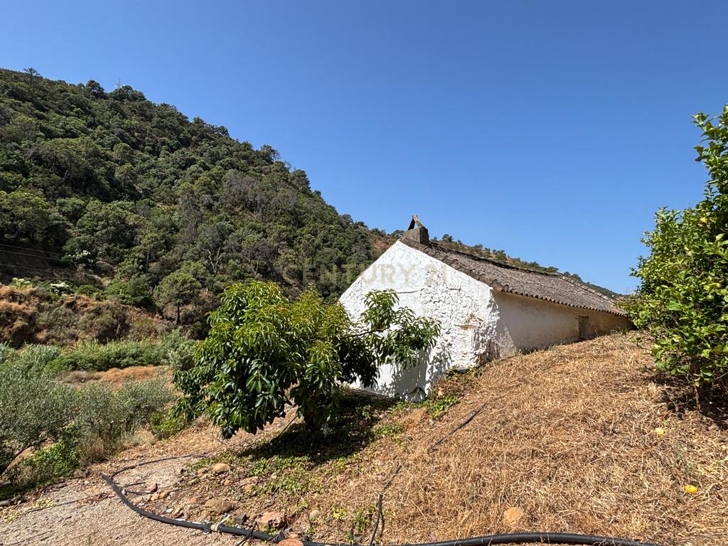 verbatimFazenda ecológica com limões durante todo o ano - Nas margens do rio Padrón - Estepona - Image 22
