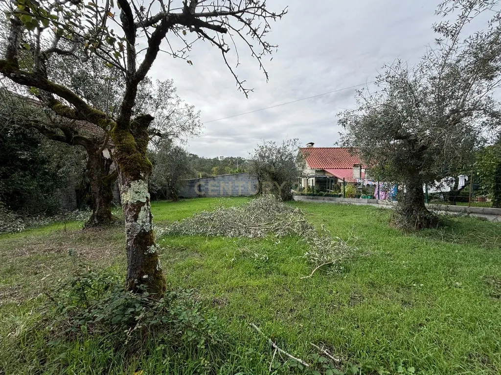 Moradia em ruína para recuperação em Pombal, Leiria - Image 21