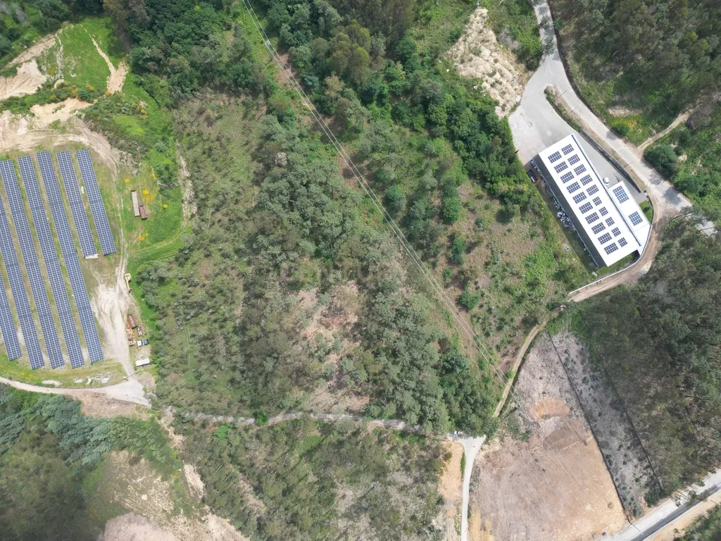 Terreno para construção de empresa/pavilhão afeto a Atividades Económicas/Industriais, Oliveira de Azeméis - 3870m² - Image 13