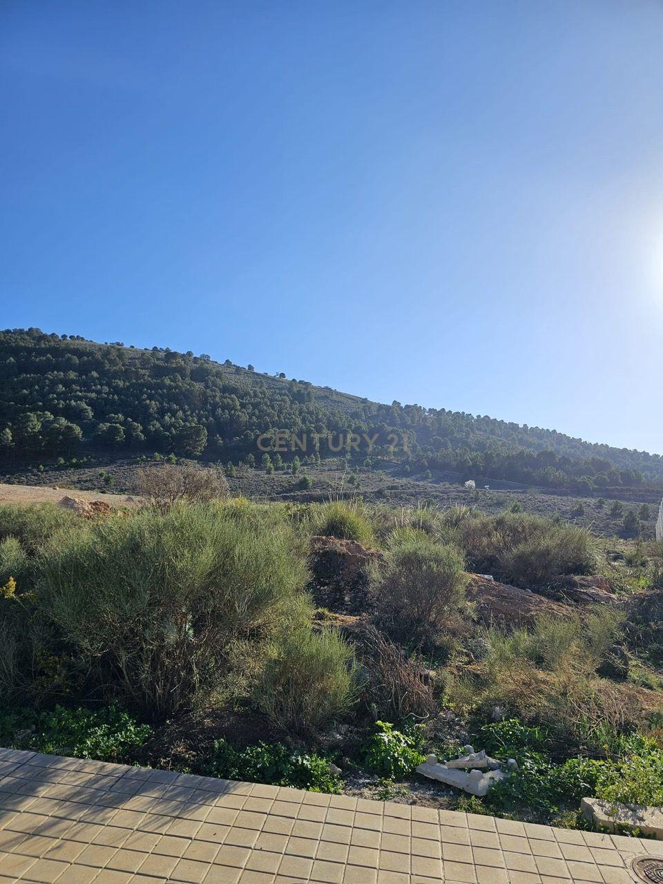 undefined - Image 10