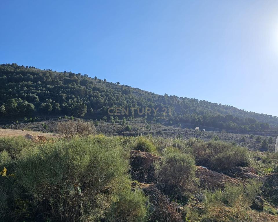 undefined - Image 10