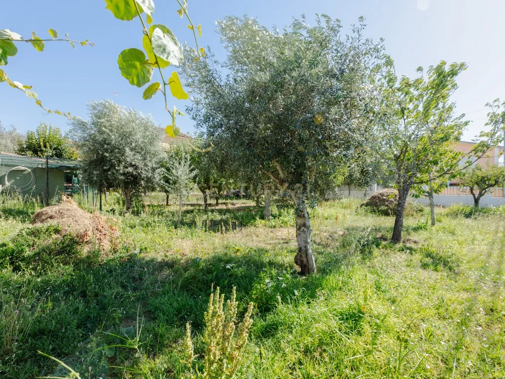 Moradia T4 Isolada com Jardim e Garagem em Olalhas – Tomar - Image 34